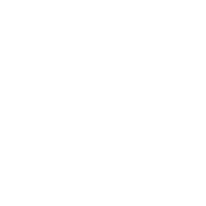 Apple Iphone and Ipad